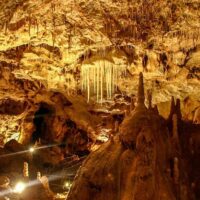 Bus & Minivan Tours