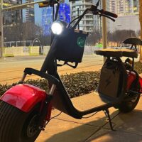 Vehicle Rentals
