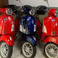 Vehicle Rentals