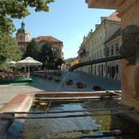Ports of Call Tours