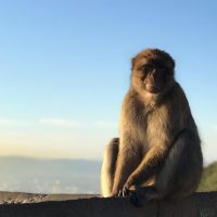 Holiday & Seasonal Tours