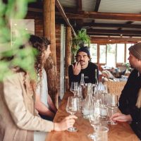 Wine Tasting & Winery Tours