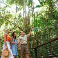 Multi-day Tours