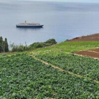 Ports of Call Tours