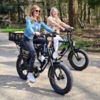 Bike Rentals