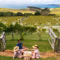 Self-guided Tours & Rentals