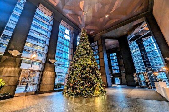 Christmas activities in Chicago