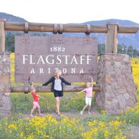 Self-guided Tours & Rentals