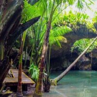 Private & Custom Tours