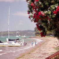 Sailing Trips