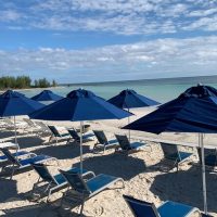 Bus & Minivan Tours