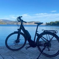 Bike Rentals