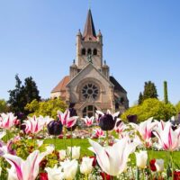 Photography Tours