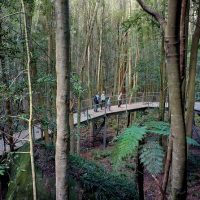 Eco Tours
