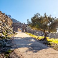 Luxury Tours