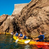 Cruises, Sailing & Water Tours