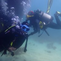 Scuba Diving