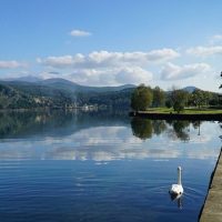 Walking Tours