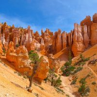 Historical & Heritage Tours