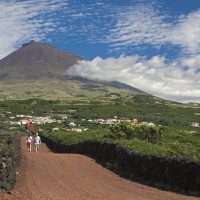 Full-day Tours