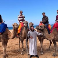 Cruises, Sailing & Water Tours