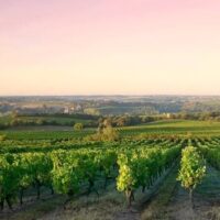 Luxury Tours