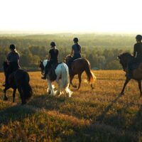 Horseback Riding