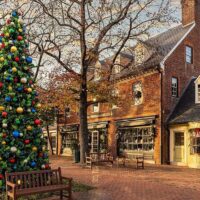 Seasonal Events