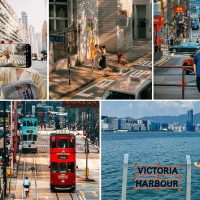 Bus & Minivan Tours