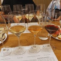 Wine Tasting & Winery Tours
