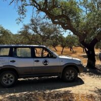 Luxury Tours