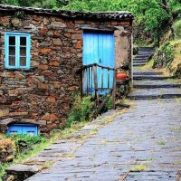 Tours & Sightseeing