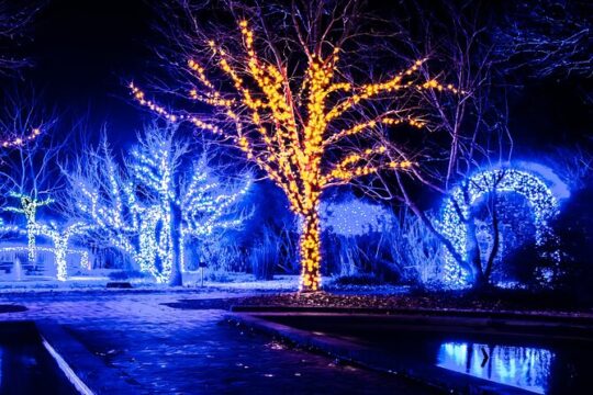 Christmas activities in Nashville
