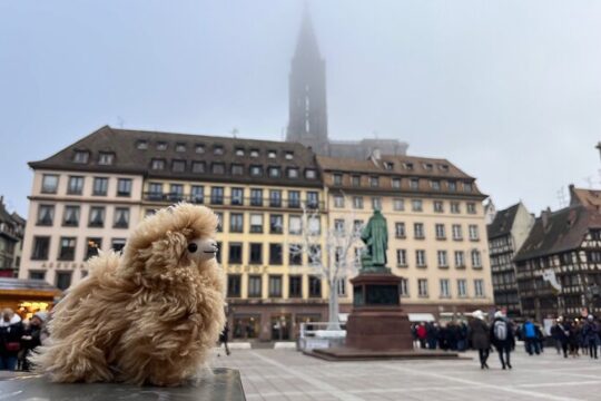 Christmas activities in Strasbourg