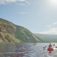 Food, Wine & Nightlife