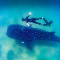 Multi-day Tours