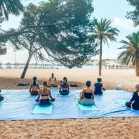 Classes & Workshops