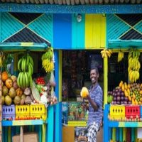 Street Food Tours
