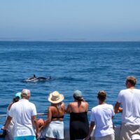 Cruises, Sailing & Water Tours