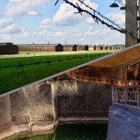 Private Sightseeing Tours