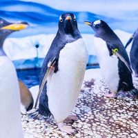 Kid Friendly Tours & Activities