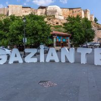 Cultural Tours