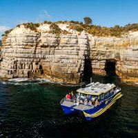 Catamaran Cruises