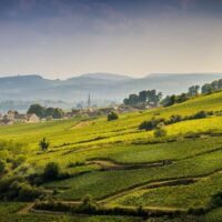 Half-day Tours