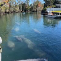 Private Sightseeing Tours