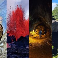 Shore Excursions