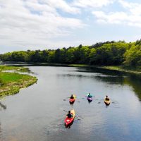 Boat Rentals