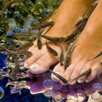 Spa Tours