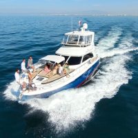 Day Cruises