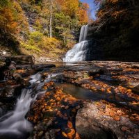 Luxury Tours